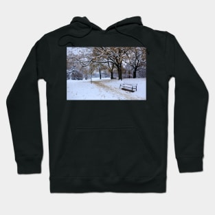 The first snow in the city Hoodie